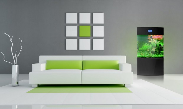 minimal green and white interior