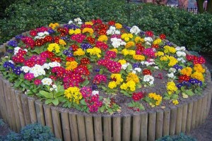 Разновидности цветочных клумб