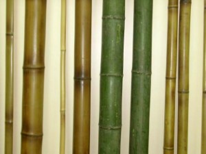 Несколько необычных способов использовать бамбук