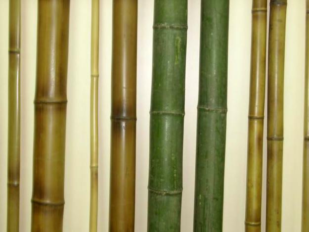 использование бамбука