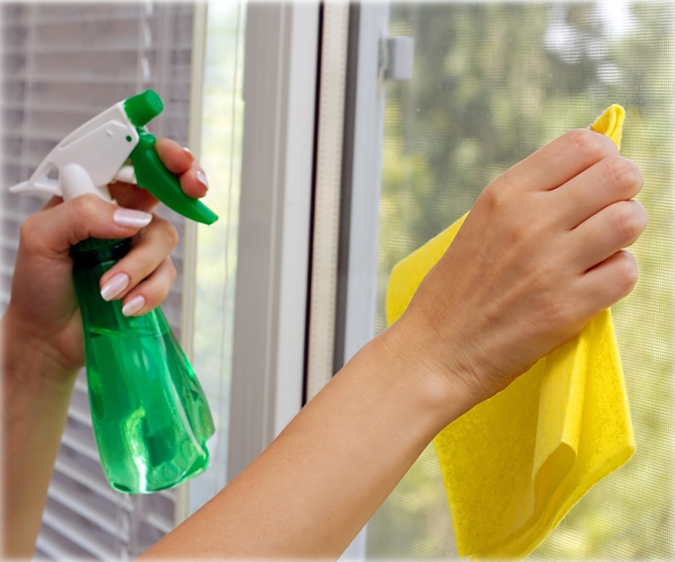 Как быстро и правильно помыть окна без разводов - обзор средств и приспособлений